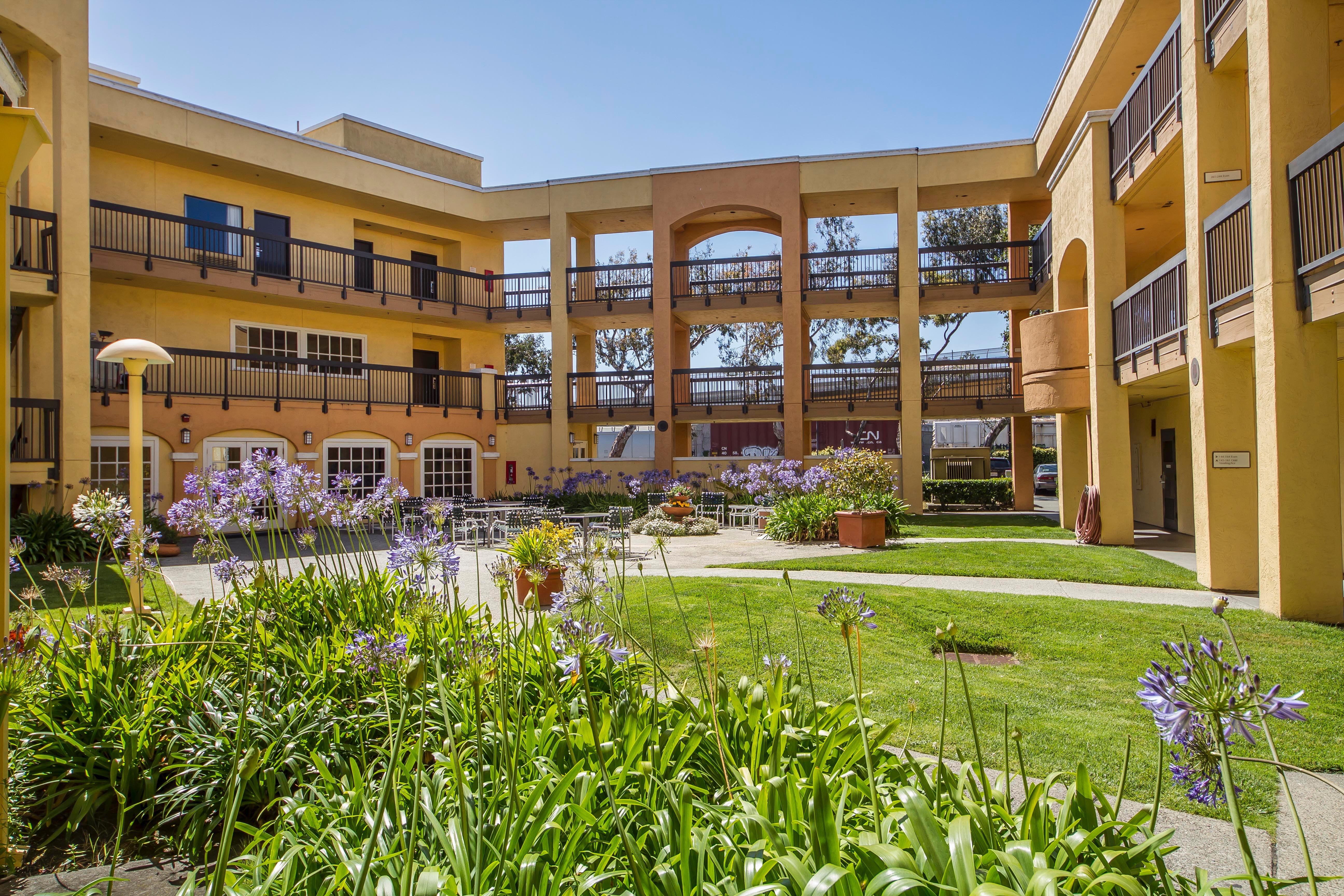 Comfort Inn & Suites San Francisco Airport North South San Francisco Bagian luar foto