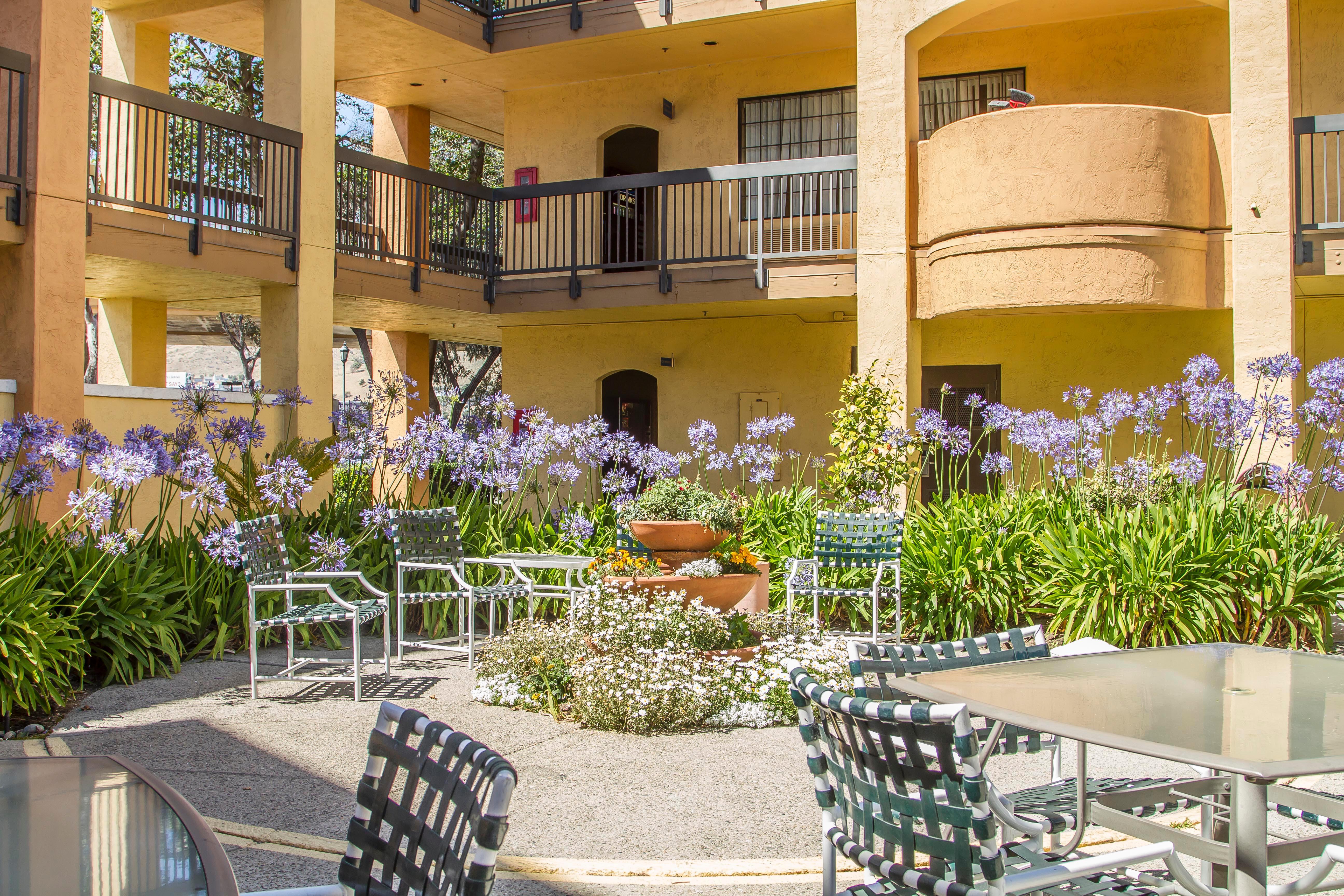 Comfort Inn & Suites San Francisco Airport North South San Francisco Bagian luar foto