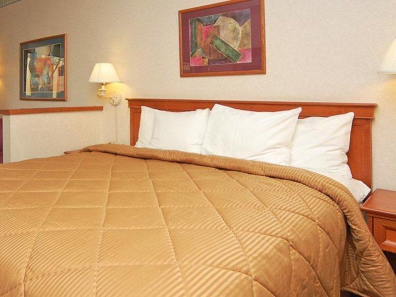 Comfort Inn & Suites San Francisco Airport North South San Francisco Bagian luar foto